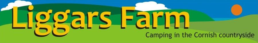 Liggars Farm - Camping and caravnning in the Cornish Countryside